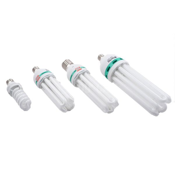 Bóng Tiết Kiệm Điện