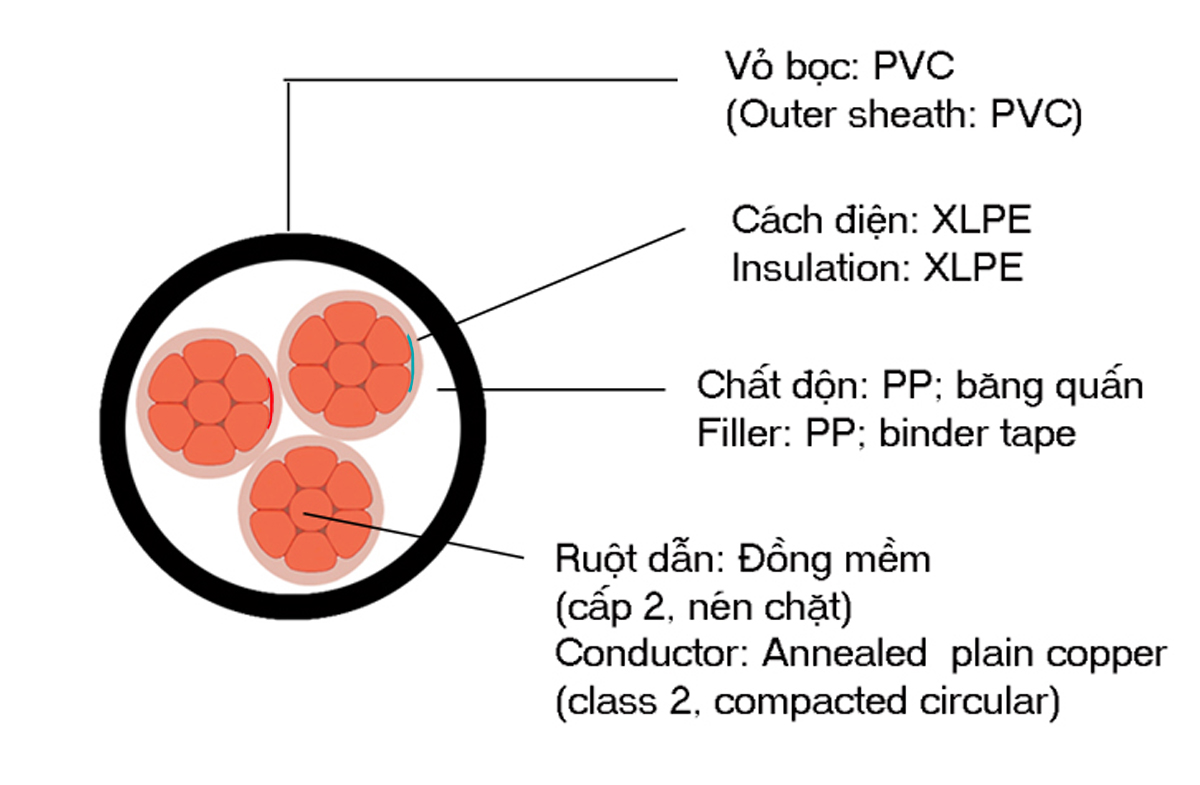 Cấu trúc của dây cáp điện CXV