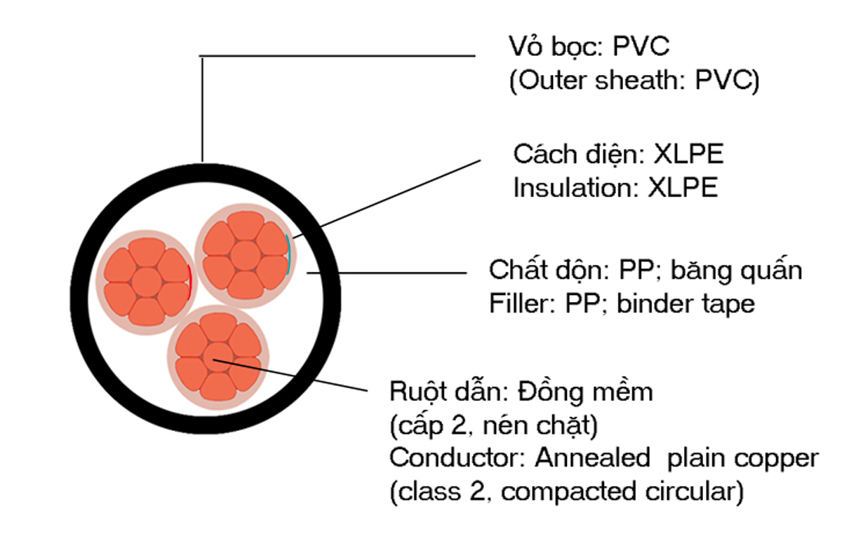 Cấu tạo